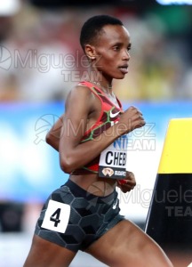 ATLETISMO: Campeonato del Mundo absoluto al aire libre, estadio National Athletics Centre (Budapest) 19-08-2023 al 27-08-2023. 