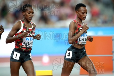 ATLETISMO: Campeonato del Mundo absoluto al aire libre, estadio National Athletics Centre (Budapest) 19-08-2023 al 27-08-2023. 