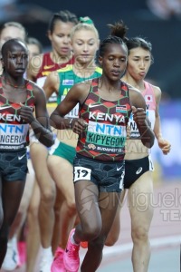 ATLETISMO: Campeonato del Mundo absoluto al aire libre, estadio National Athletics Centre (Budapest) 19-08-2023 al 27-08-2023. 