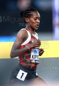 ATLETISMO: Campeonato del Mundo absoluto al aire libre, estadio National Athletics Centre (Budapest) 19-08-2023 al 27-08-2023. 