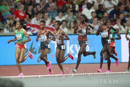 ATLETISMO: Campeonato del Mundo absoluto al aire libre, estadio National Athletics Centre (Budapest) 19-08-2023 al 27-08-2023. 