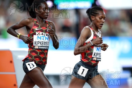 ATLETISMO: Campeonato del Mundo absoluto al aire libre, estadio National Athletics Centre (Budapest) 19-08-2023 al 27-08-2023. 