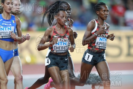 ATLETISMO: Campeonato del Mundo absoluto al aire libre, estadio National Athletics Centre (Budapest) 19-08-2023 al 27-08-2023. 