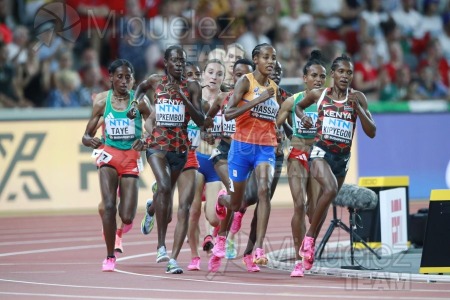 ATLETISMO: Campeonato del Mundo absoluto al aire libre, estadio National Athletics Centre (Budapest) 19-08-2023 al 27-08-2023. 