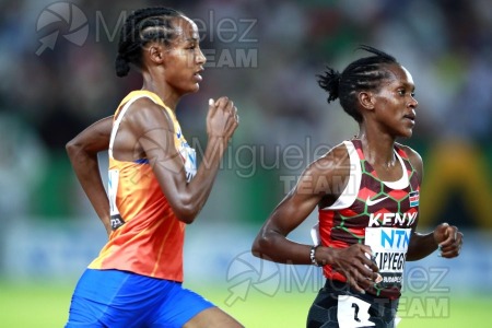 ATLETISMO: Campeonato del Mundo absoluto al aire libre, estadio National Athletics Centre (Budapest) 19-08-2023 al 27-08-2023. 