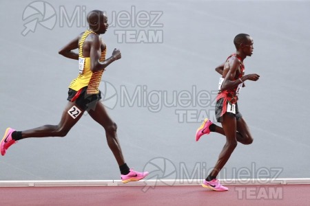 ATLETISMO: Campeonato del Mundo absoluto al aire libre, estadio National Athletics Centre (Budapest) 19-08-2023 al 27-08-2023. 