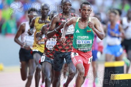 ATLETISMO: Campeonato del Mundo absoluto al aire libre, estadio National Athletics Centre (Budapest) 19-08-2023 al 27-08-2023. 