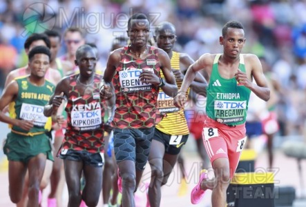 ATLETISMO: Campeonato del Mundo absoluto al aire libre, estadio National Athletics Centre (Budapest) 19-08-2023 al 27-08-2023. 