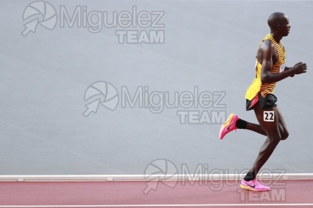 ATLETISMO: Campeonato del Mundo absoluto al aire libre, estadio National Athletics Centre (Budapest) 19-08-2023 al 27-08-2023. 