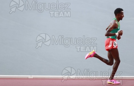 ATLETISMO: Campeonato del Mundo absoluto al aire libre, estadio National Athletics Centre (Budapest) 19-08-2023 al 27-08-2023. 