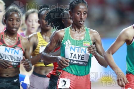 ATLETISMO: Campeonato del Mundo absoluto al aire libre, estadio National Athletics Centre (Budapest) 19-08-2023 al 27-08-2023. 