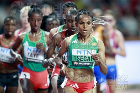 ATLETISMO: Campeonato del Mundo absoluto al aire libre, estadio National Athletics Centre (Budapest) 19-08-2023 al 27-08-2023. 