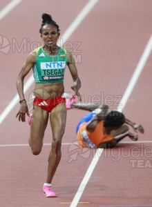 ATLETISMO: Campeonato del Mundo absoluto al aire libre, estadio National Athletics Centre (Budapest) 19-08-2023 al 27-08-2023. 