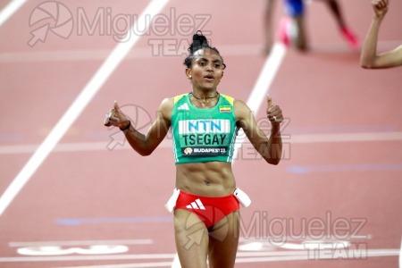 ATLETISMO: Campeonato del Mundo absoluto al aire libre, estadio National Athletics Centre (Budapest) 19-08-2023 al 27-08-2023. 