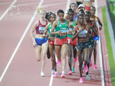 ATLETISMO: Campeonato del Mundo absoluto al aire libre, estadio National Athletics Centre (Budapest) 19-08-2023 al 27-08-2023. 