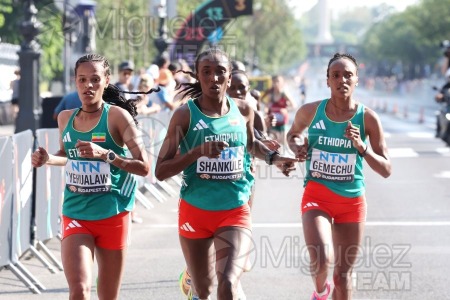 Campeonato del Mundo de atletismo al aire libre (Budapest) 2023.