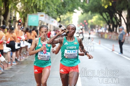 Campeonato del Mundo de atletismo al aire libre (Budapest) 2023.