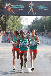 Campeonato del Mundo de atletismo al aire libre (Budapest) 2023.