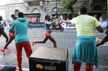 Campeonato del Mundo de atletismo al aire libre (Budapest) 2023.