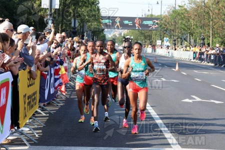 Campeonato del Mundo de atletismo al aire libre (Budapest) 2023.