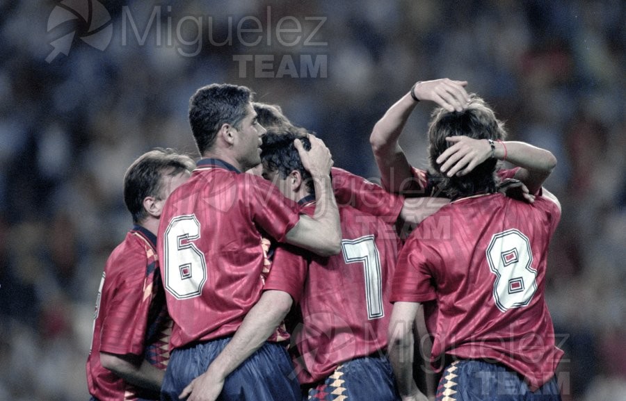 Partido de clasificación para la Eurocopa entre ESPAÑA-BÉLGICA en el estadio Ramón Sánchez Pizjuán de Sevilla. 1995