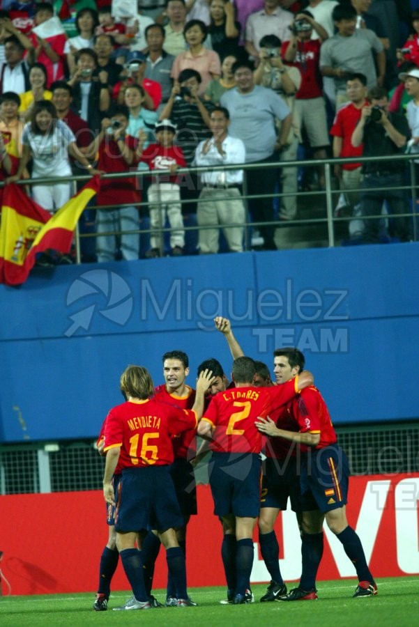 Copa del Mundo JAPON/COREA DEL SUR-2002. Partido entre Sudafrica - España,  Daejeon (Corea del Sur) 2002.
