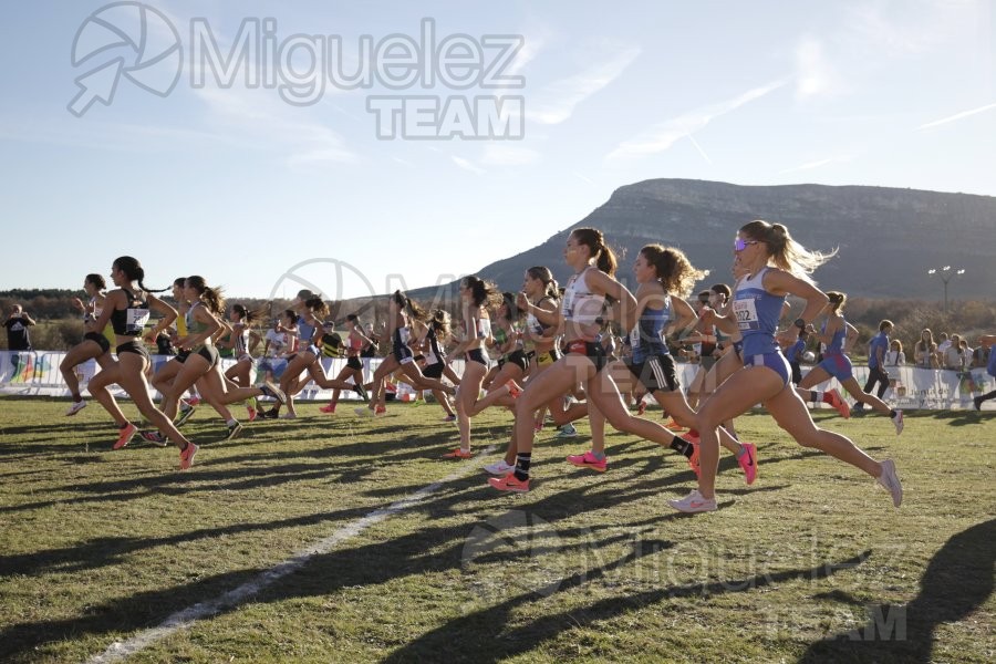 Campeonato de España Clubes Campo a Través (Soria) 2023.