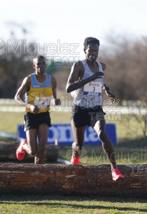 Campeonato de España Clubes Campo a Través (Soria) 2023.