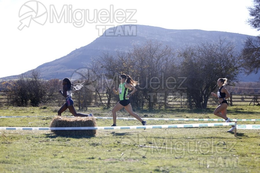 Campeonato de España Clubes Campo a Través (Soria) 2023.