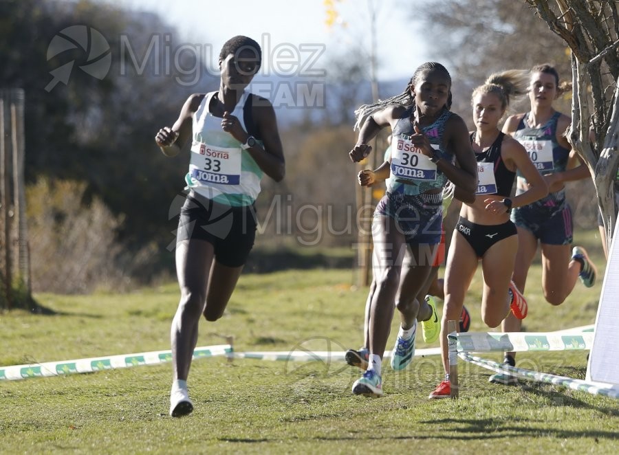 Campeonato de España Clubes Campo a Través (Soria) 2023.