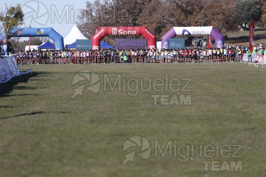 Campeonato de España Clubes Campo a Través (Soria) 2023.