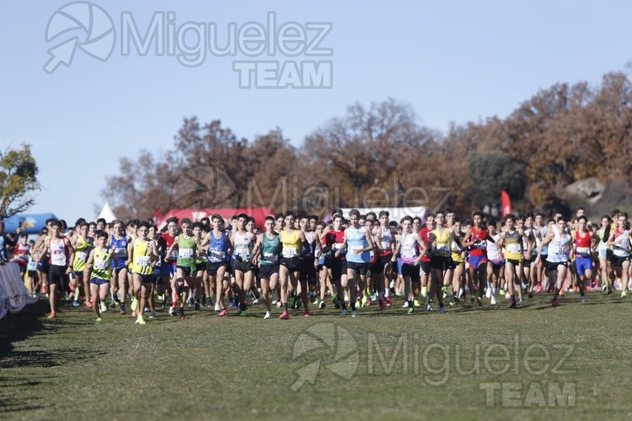 Campeonato de España Clubes Campo a Través (Soria) 2023.