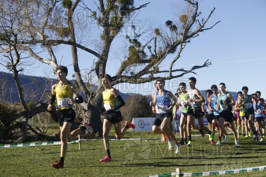 Campeonato de España Clubes Campo a Través (Soria) 2023.