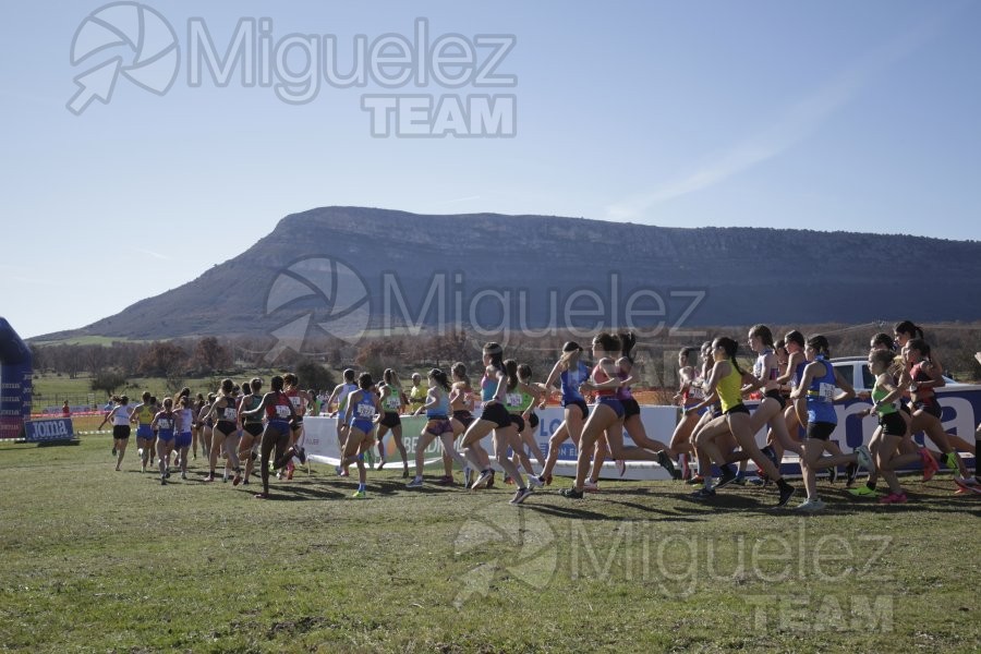 Campeonato de España Clubes Campo a Través (Soria) 2023.