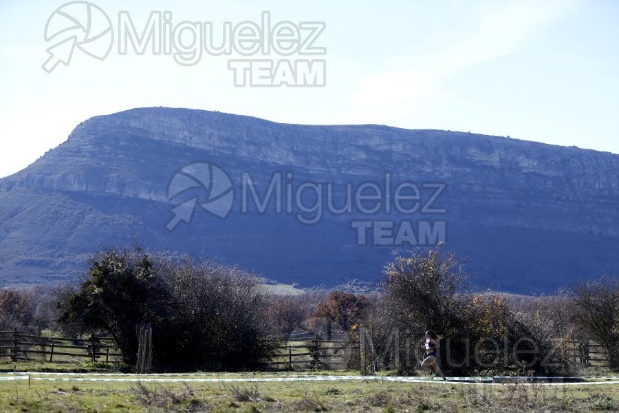 Campeonato de España Clubes Campo a Través (Soria) 2023.