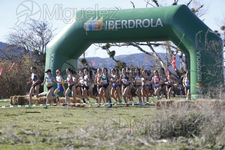 Campeonato de España Clubes Campo a Través (Soria) 2023.