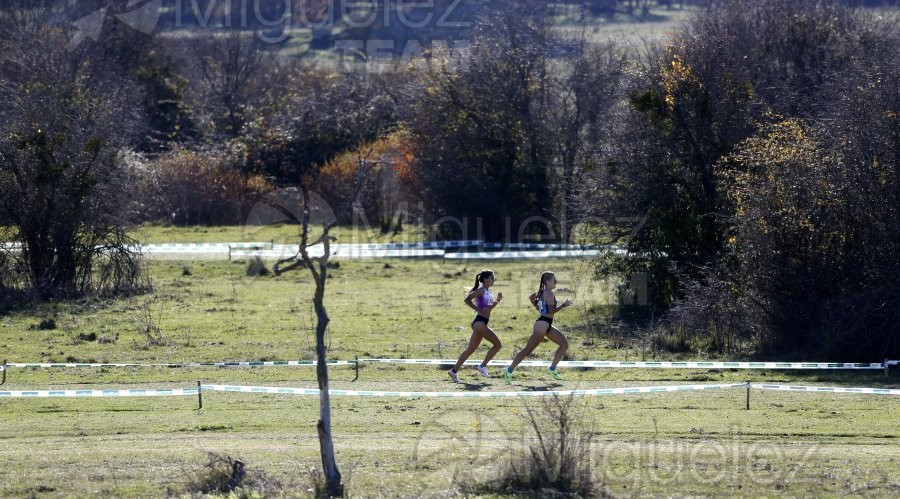 Campeonato de España Clubes Campo a Través (Soria) 2023.