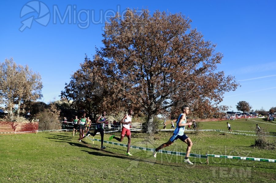Campeonato de España Clubes Campo a Través (Soria) 2023.