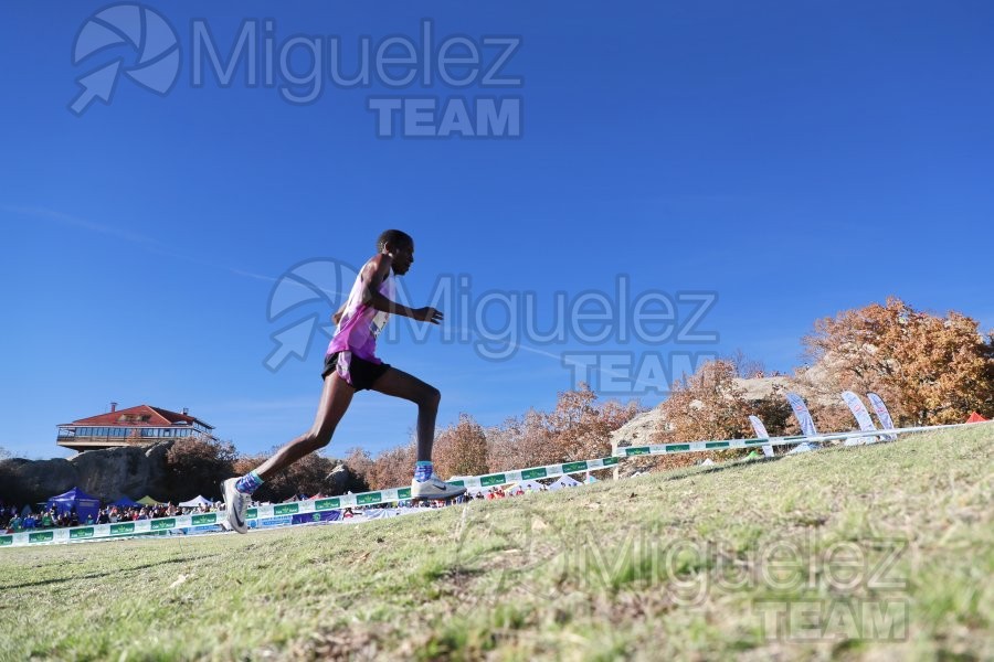 Campeonato de España Clubes Campo a Través (Soria) 2023.