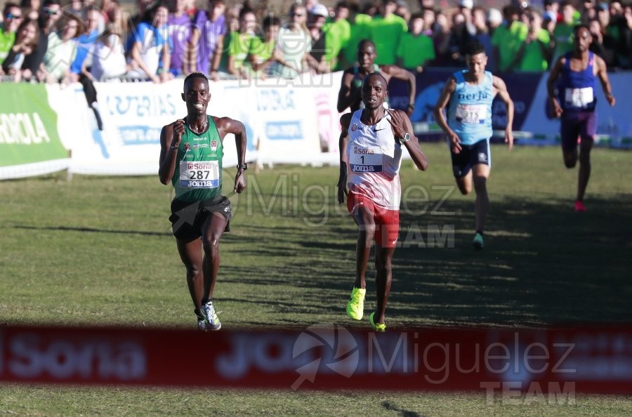 Campeonato de España Clubes Campo a Través (Soria) 2023.