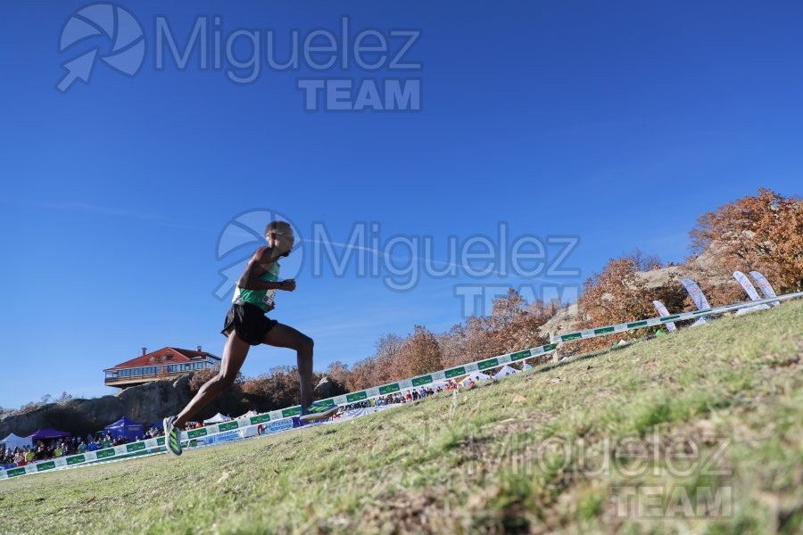 Campeonato de España Clubes Campo a Través (Soria) 2023.