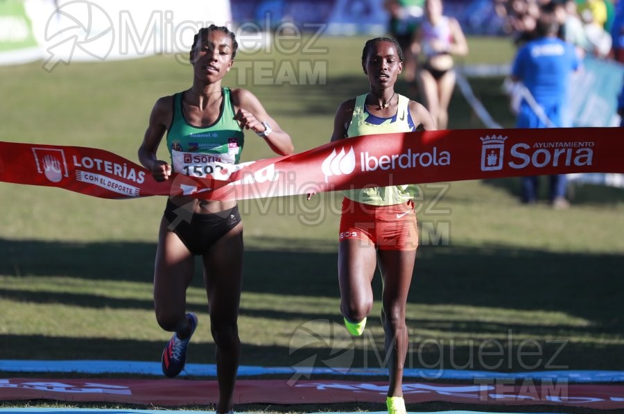 Campeonato de España Clubes Campo a Través (Soria) 2023.