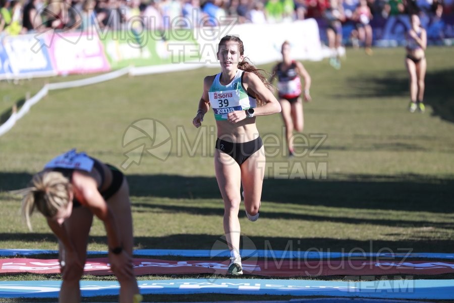 Campeonato de España Clubes Campo a Través (Soria) 2023.