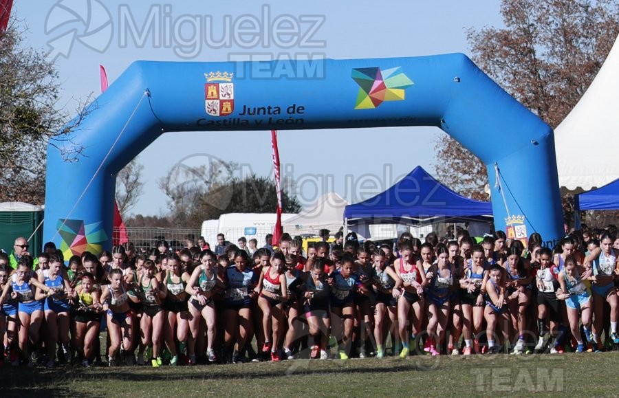 Campeonato de España Clubes Campo a Través (Soria) 2023.