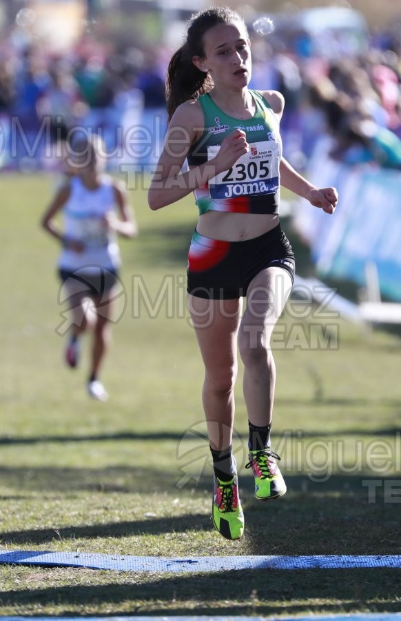 Campeonato de España Clubes Campo a Través (Soria) 2023.