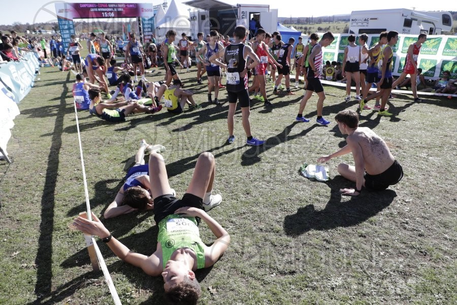 Campeonato de España Clubes Campo a Través (Soria) 2023.