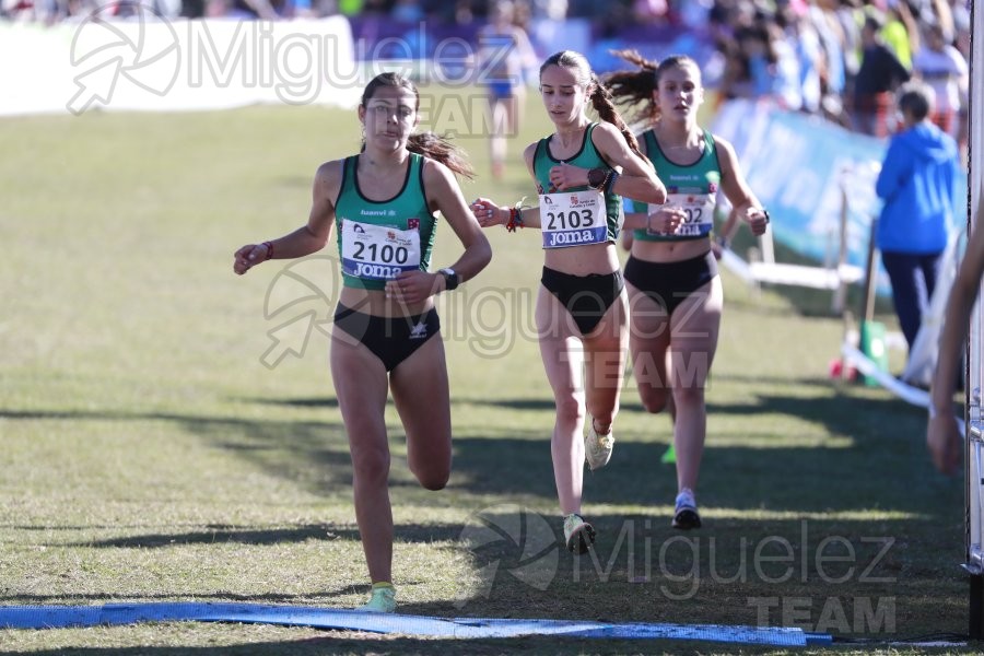 Campeonato de España Clubes Campo a Través (Soria) 2023.