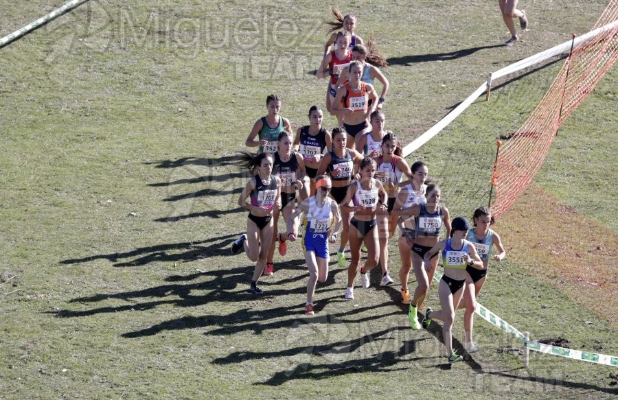 Campeonato de España Clubes Campo a Través (Soria) 2023.