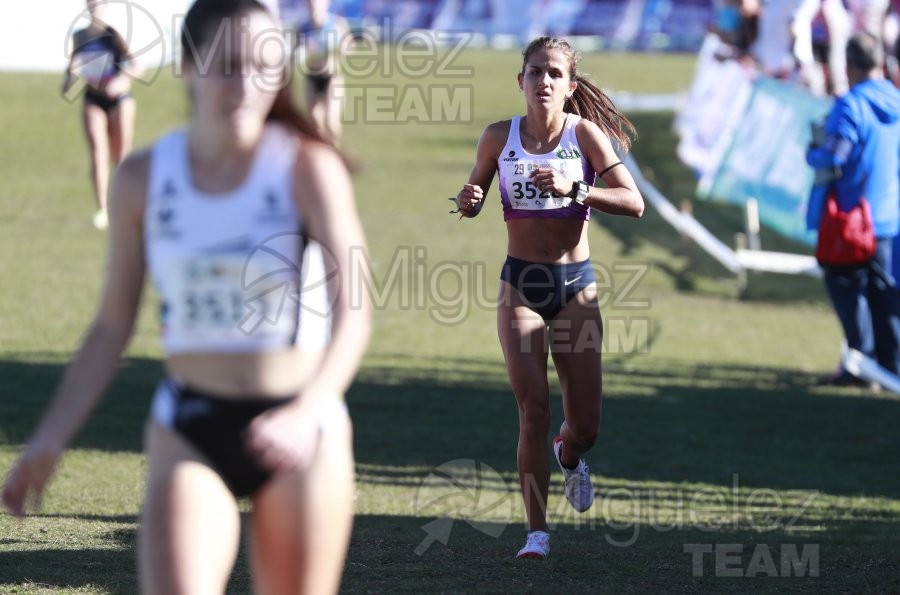 Campeonato de España Clubes Campo a Través (Soria) 2023.