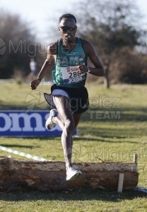 Campeonato de España Clubes Campo a Través (Soria) 2023.